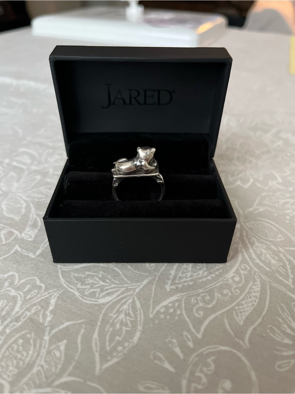 ARCANA OBSCURA Guardian Ring Sterling Silver - Picture 3 of 5